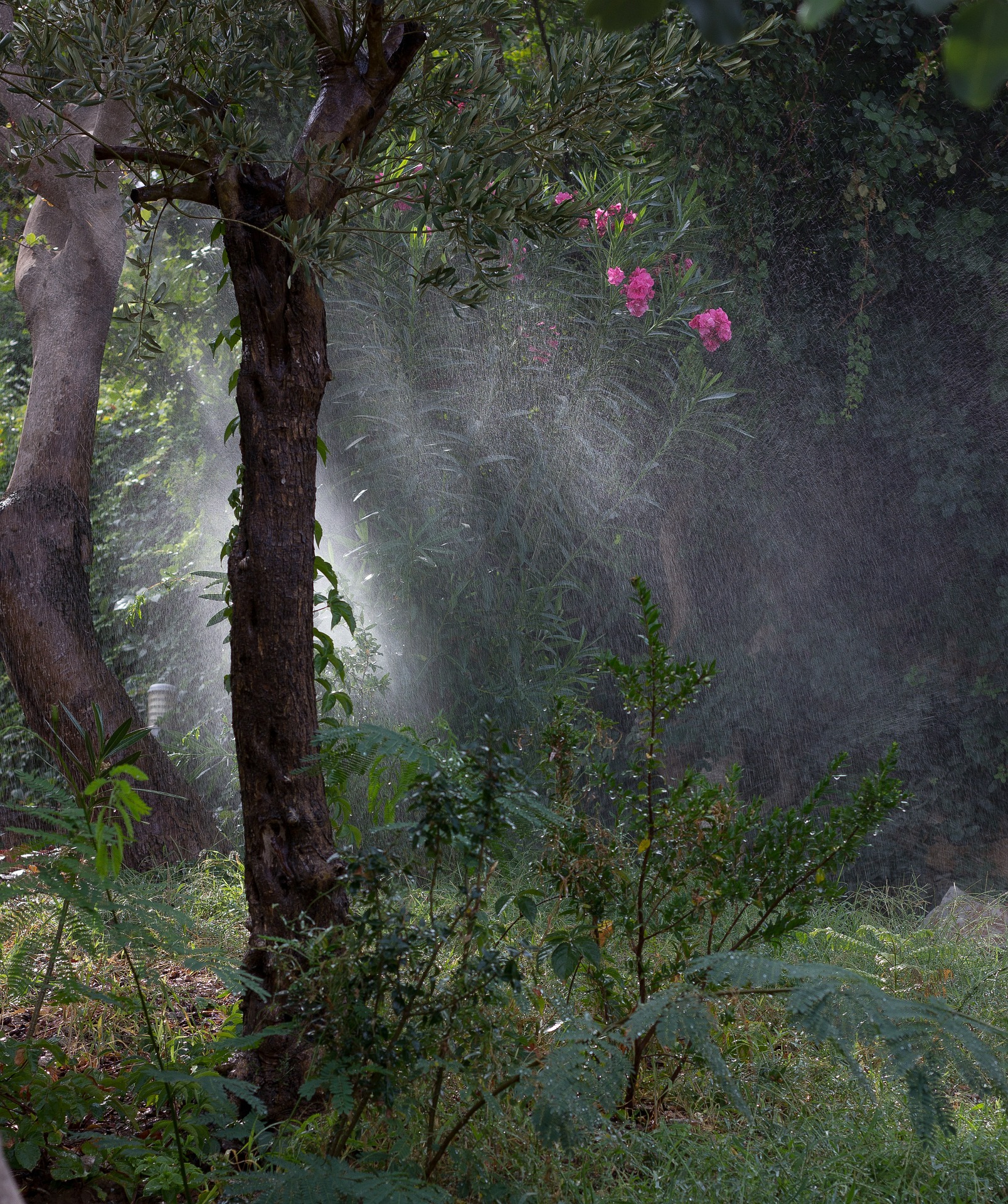 drops-525755_1920